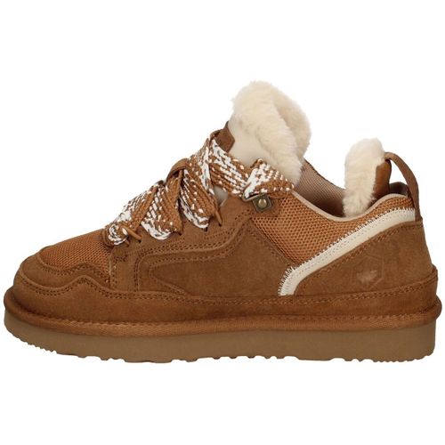 Baskets Lumberjack - Lumberjack - Modalova