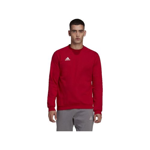Sweatshirts Sweatshirt entrada 22 rouge - adidas - Modalova