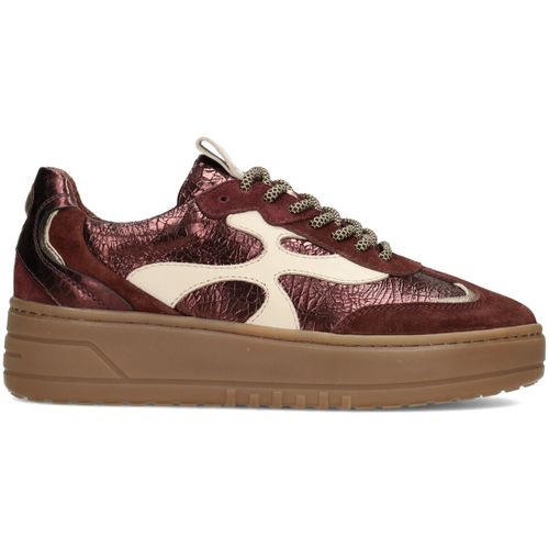 Baskets basses AURELIE Baskets - Haboob - Modalova