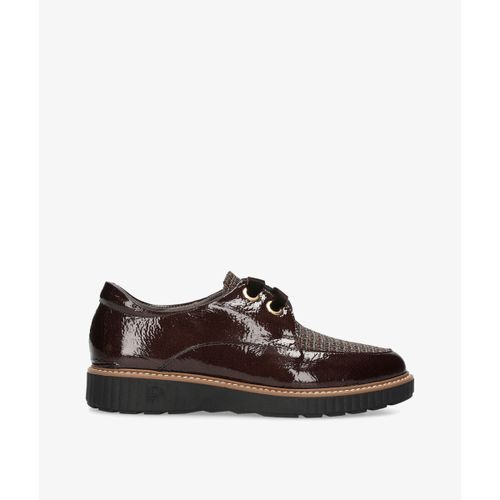 Derbies Pitillos 11555 - Pitillos - Modalova