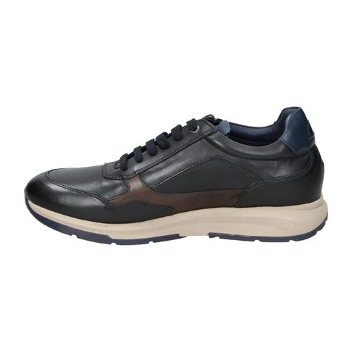 Baskets basses Fluchos 118264 - Fluchos - Modalova