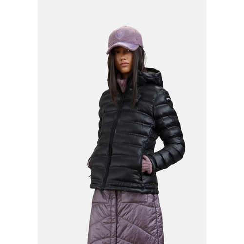 Blouson Blauer ELLIS - Blauer - Modalova