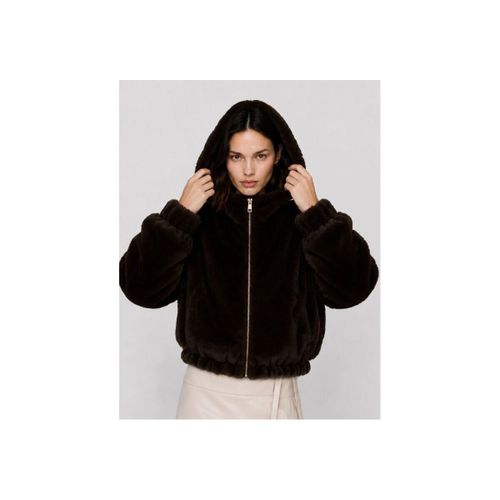Blouson Kocca - Kocca - Modalova