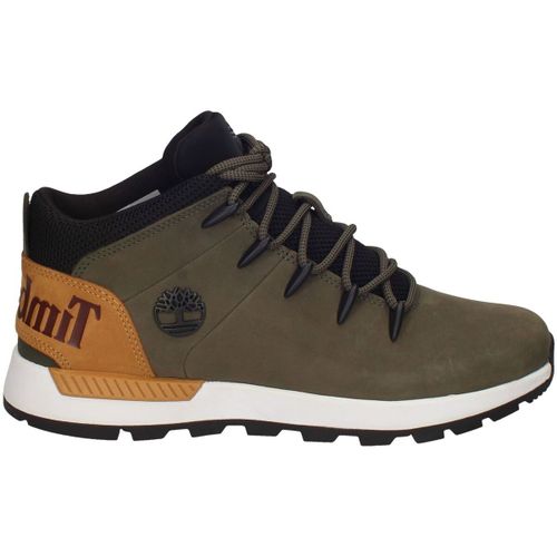 Baskets Timberland - Timberland - Modalova