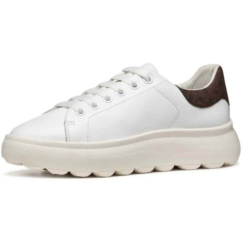 Baskets basses spherica ecub leisure black - Geox - Modalova