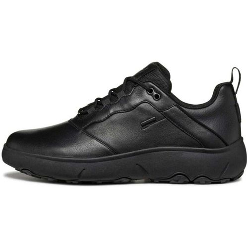 Baskets basses nebula leisure black - Geox - Modalova