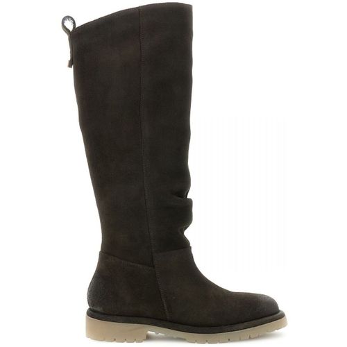 Boots Café Noir 101770 - Café Noir - Modalova