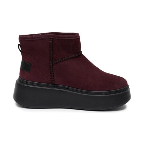 Boots Maciejka 6257W04004 - Maciejka - Modalova