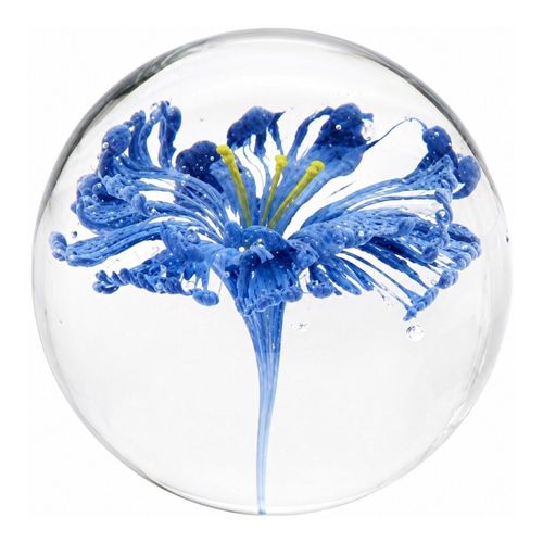 Statuettes et figurines Presse-Papier Boule Fleurs Bleu - Signes Grimalt - Modalova