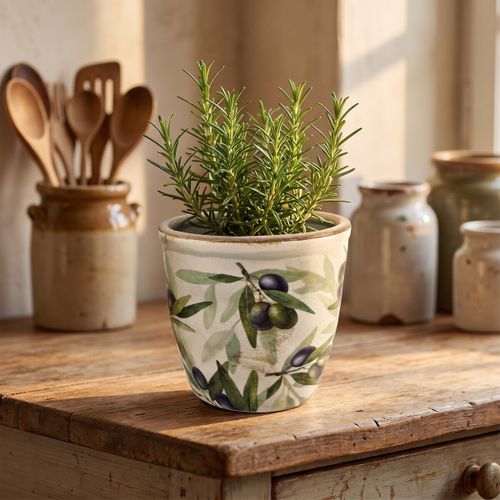 Vases, caches pots d'intérieur Cache-pot Olives Petit - Signes Grimalt - Modalova