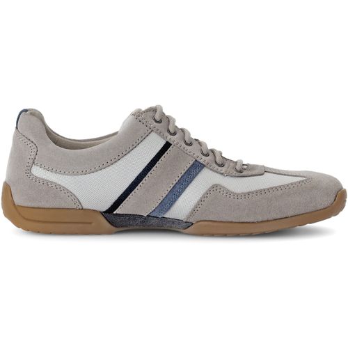 Baskets basses Gabor 113713 - Gabor - Modalova