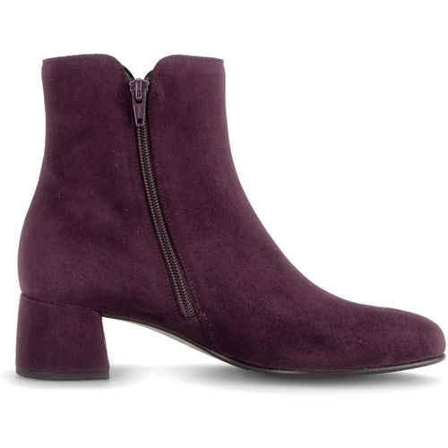 Bottines Gabor 8036.01 - Gabor - Modalova