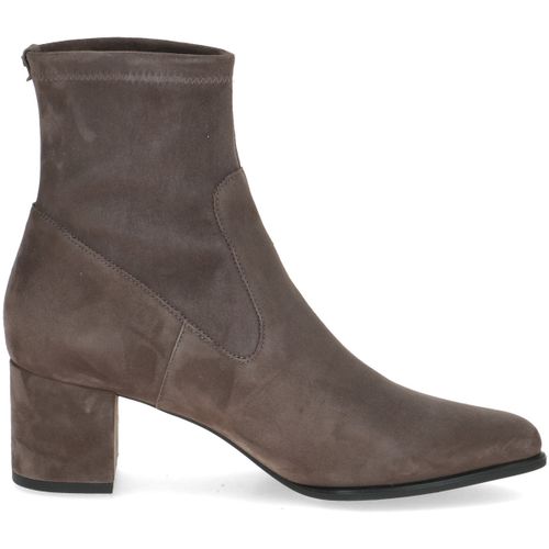 Bottines 97532045 - peterkaiser_97532045_251 - Peter Kaiser - Modalova