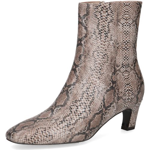 Bottines 97531545 - peterkaiser_97531545_406 - Peter Kaiser - Modalova