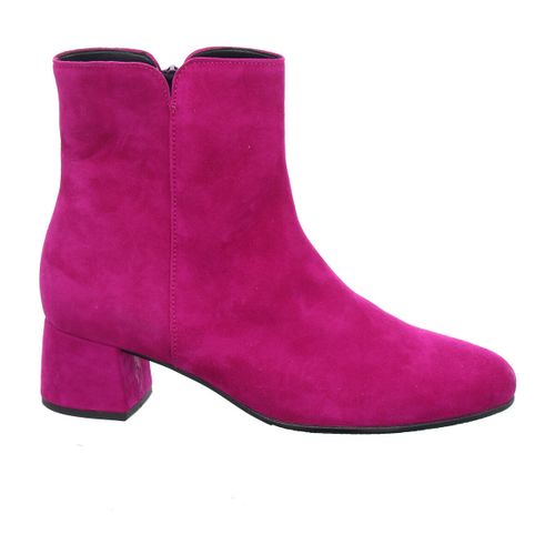 Bottines Gabor 35.68 - Gabor - Modalova