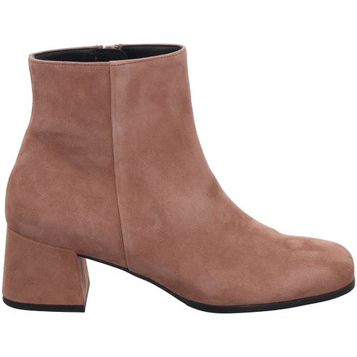 Bottines - hoegl_610410294000_darktaup - Högl - Modalova