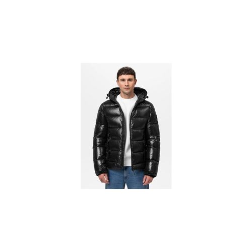 Blouson Pitbull PEPPERWOOD - Pitbull - Modalova