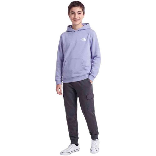 Sweatshirts à capuche Evolution Box NSE - The North Face - Modalova