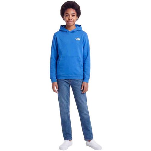 Sweatshirts à capuche Evolution Box NSE - The North Face - Modalova