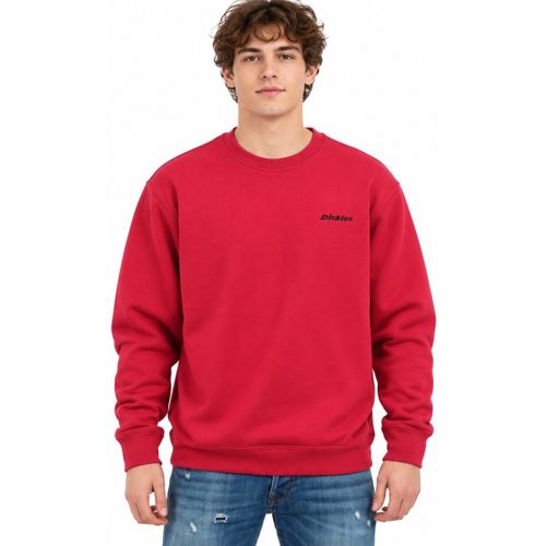 Sweatshirts Loretto Sweatshirt - Dickies - Modalova