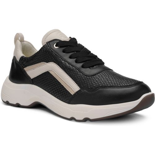 Baskets basses Ara Boston - Ara - Modalova