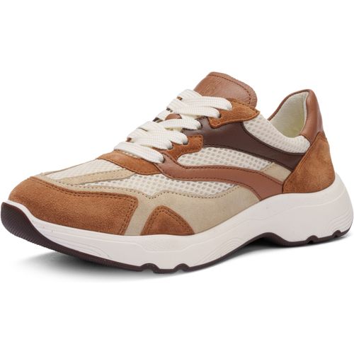 Baskets basses Ara Boston - Ara - Modalova