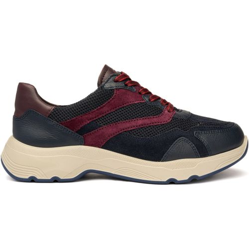 Baskets basses Ara Boston - Ara - Modalova