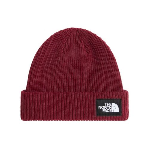 Bonnet Salty Lined Beanie - The North Face - Modalova