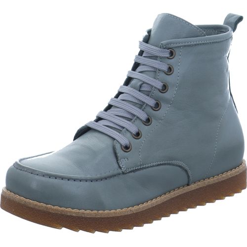 Bottes Andrea Conti Schnür Boot - Andrea Conti - Modalova