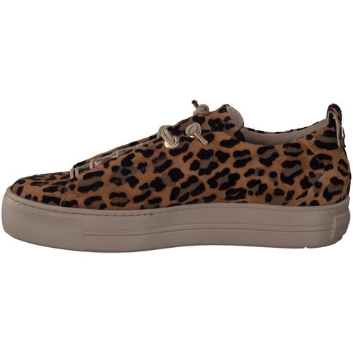 Baskets basses Paul Green 5317 - Paul Green - Modalova