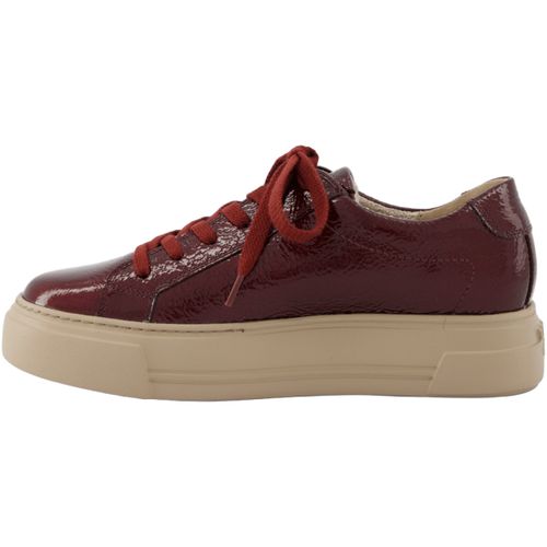 Baskets basses Paul Green 5469 - Paul Green - Modalova