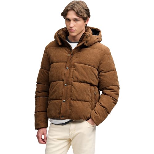 Blouson Doudoune à Capuche en velours Premium Cord Puffer - Superdry - Modalova