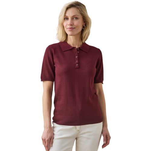 Pull Pull polo avec laine mérinos - Daxon - Modalova