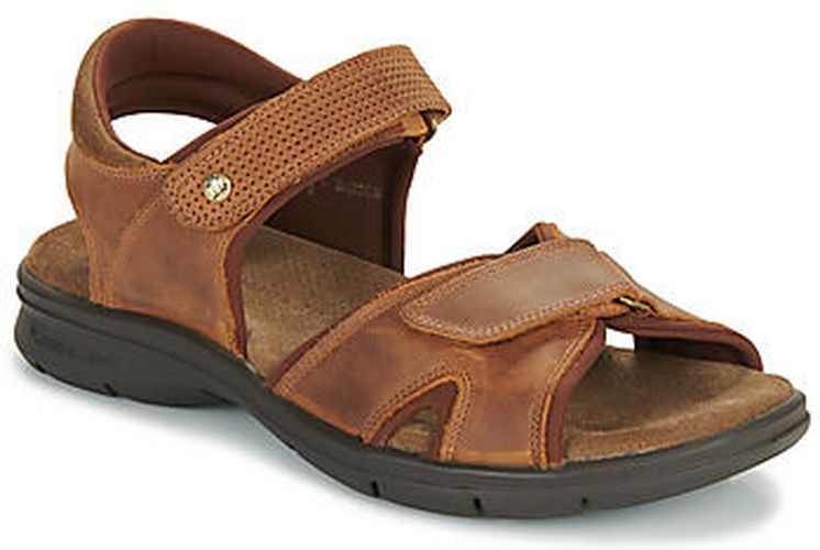 Sandales SANDERS BASICS C4 Marron - Panama jack - Modalova