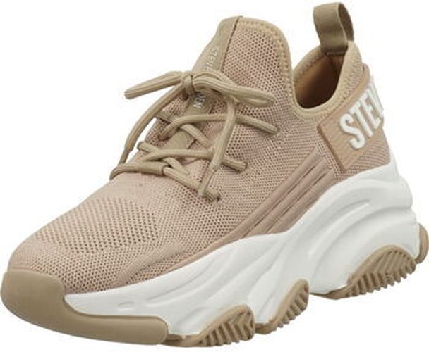 Baskets basses Sneaker Beige - Steve madden - Modalova