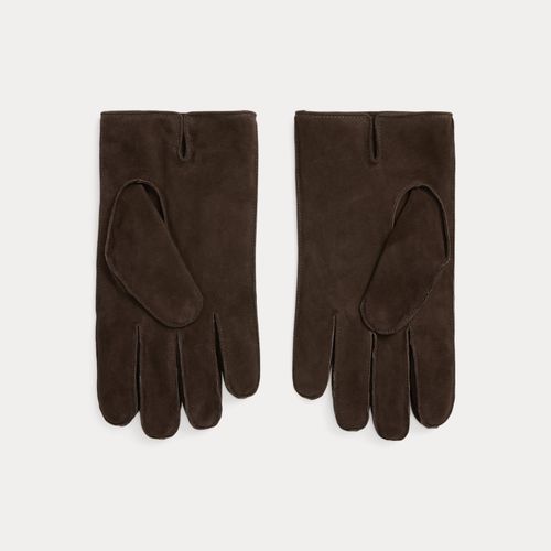 Gants isolés en daim - Polo Ralph Lauren - Modalova