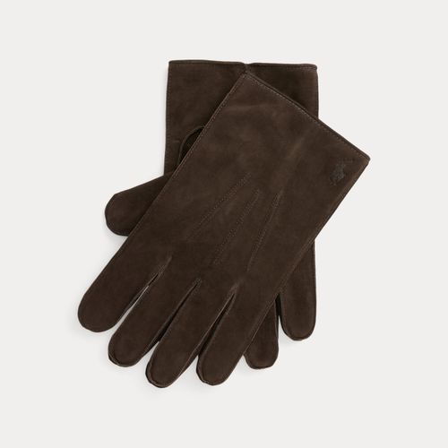Gants isolés en daim - Polo Ralph Lauren - Modalova