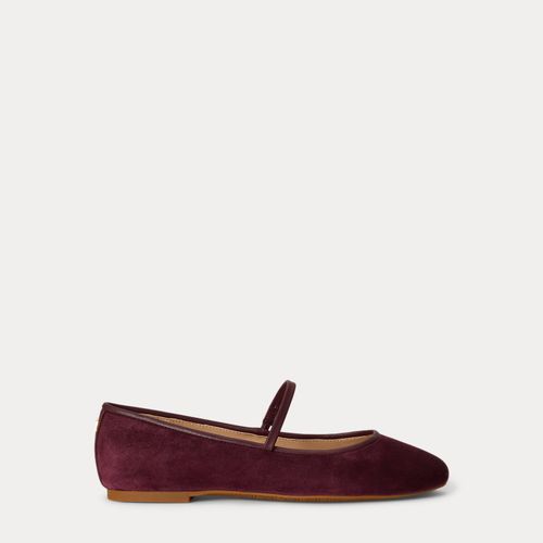 Ballerines babies Jayna daim cuir nappa - Lauren - Modalova