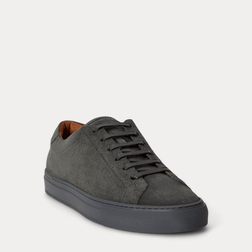 Baskets Jermain en vachette velours - Polo Ralph Lauren - Modalova