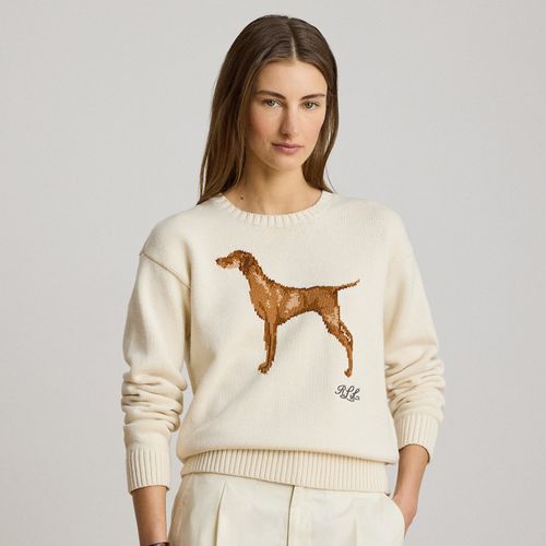 Pull en coton tricot intarsia - Lauren - Modalova