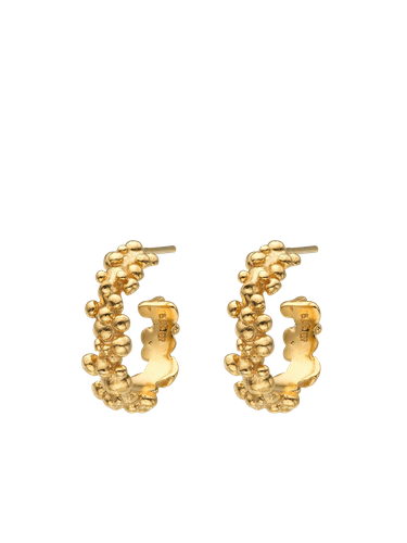 Céleste Deux Small Hoop Earrings 14k - Earrings - Eva Remenyi - Modalova