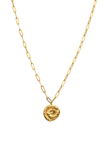 Nautilus Pendant Necklace Gold - Eva Remenyi - Modalova