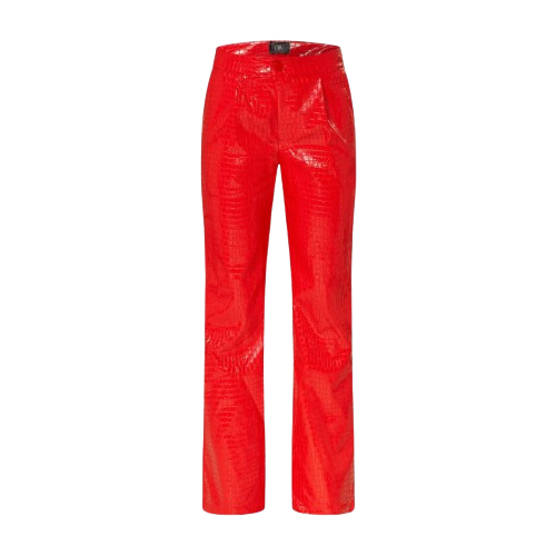 VALENCIA Croc Pants | Women's Straight leg pants - OW Collection - Modalova