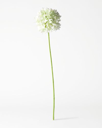 Fleur Artificielle Allium 55 Cm Blanche () - HEMA - Modalova