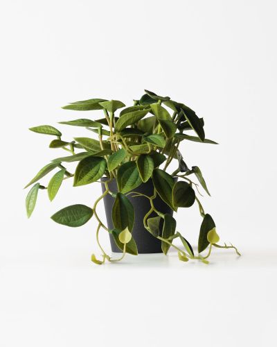 Plante Artificielle Philodendron 55 Cm () - HEMA - Modalova