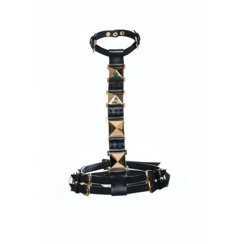 Pre-owned > Pre-owned Accessories > Pre-owned Belts - - Giuseppe Zanotti Pre-owned - Modalova