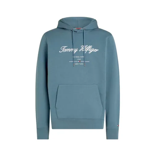 Sweatshirts & Hoodies > Hoodies - - Tommy Hilfiger - Modalova