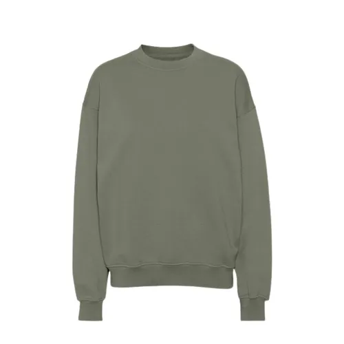 Sweatshirts & Hoodies > Sweatshirts - - Colorful Standard - Modalova