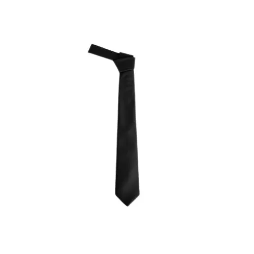 Accessories > Ties - - Patrizia Pepe - Modalova