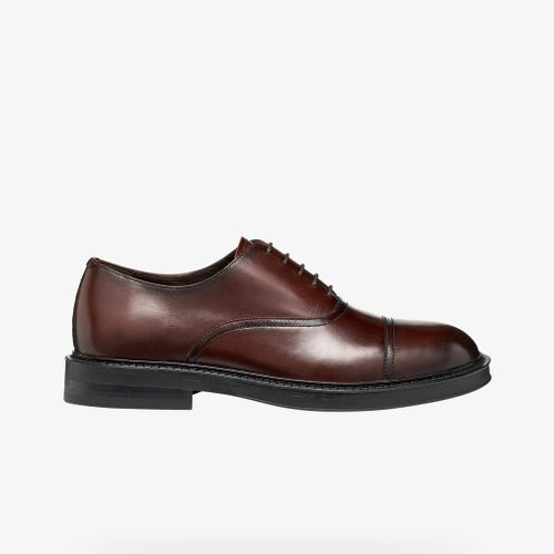Baskets Geox Bexford Brown EUR 41 - Geox - Modalova
